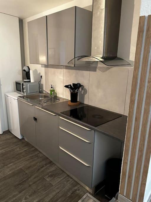 Le Cosy'Ppart - Easylife Leilighet Bourgoin-Jallieu Eksteriør bilde